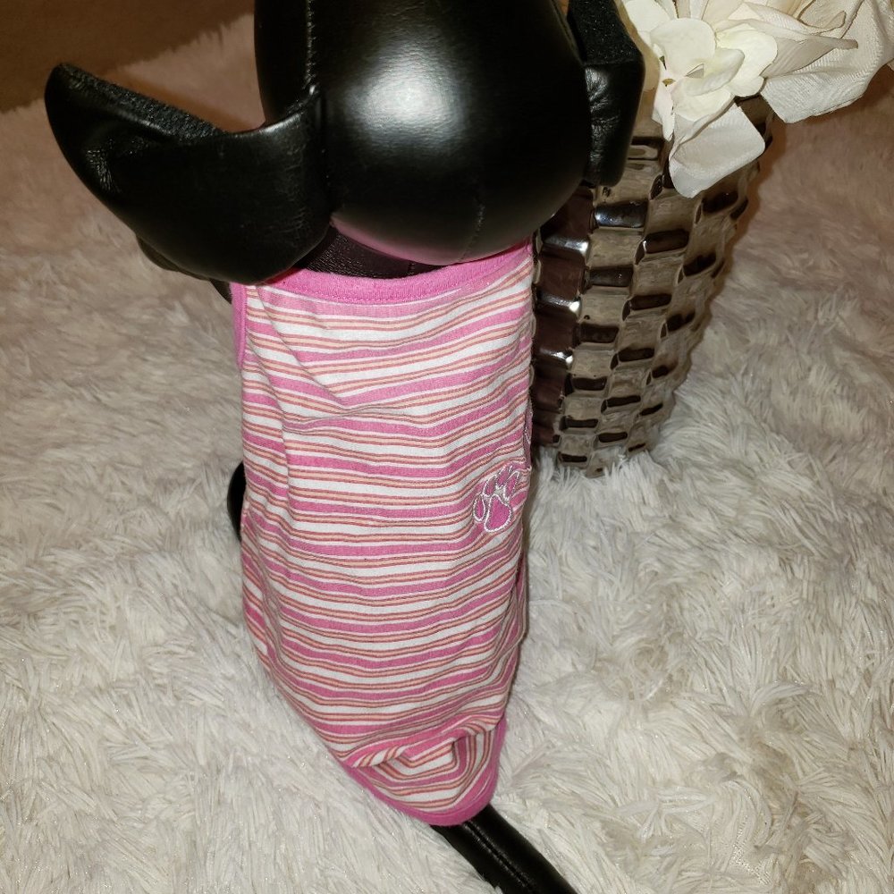 Pretty In Pink Paws - Picture 4 of 5